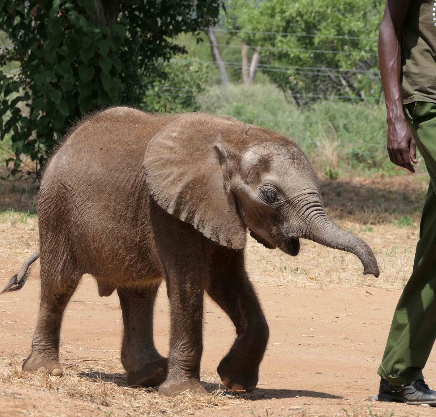 Reteti Elephant Sanctuary
