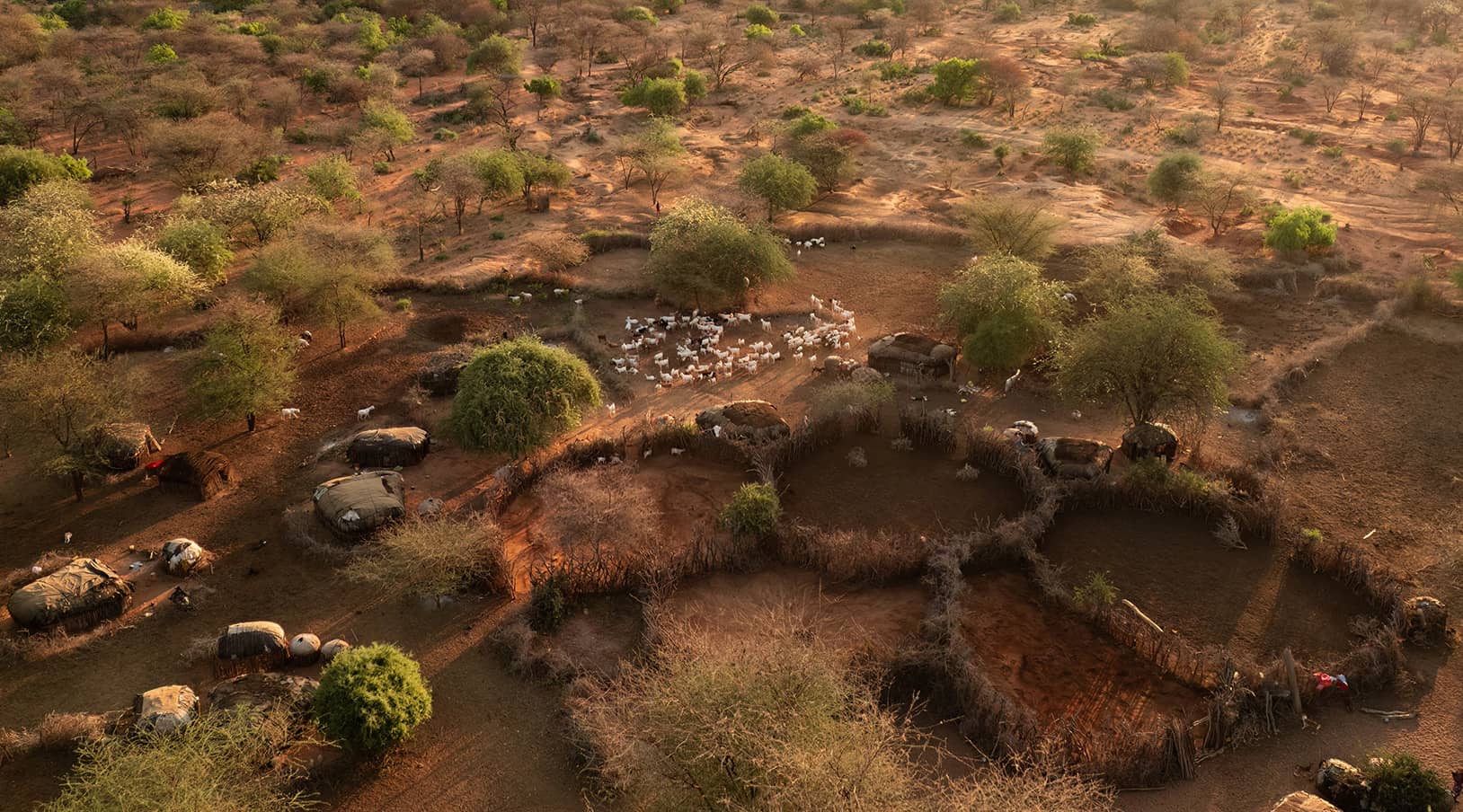 Samburu Homestead Visits