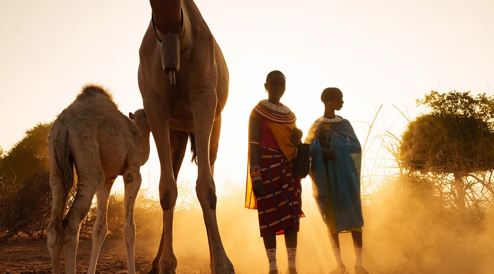Women's Agricultural Project