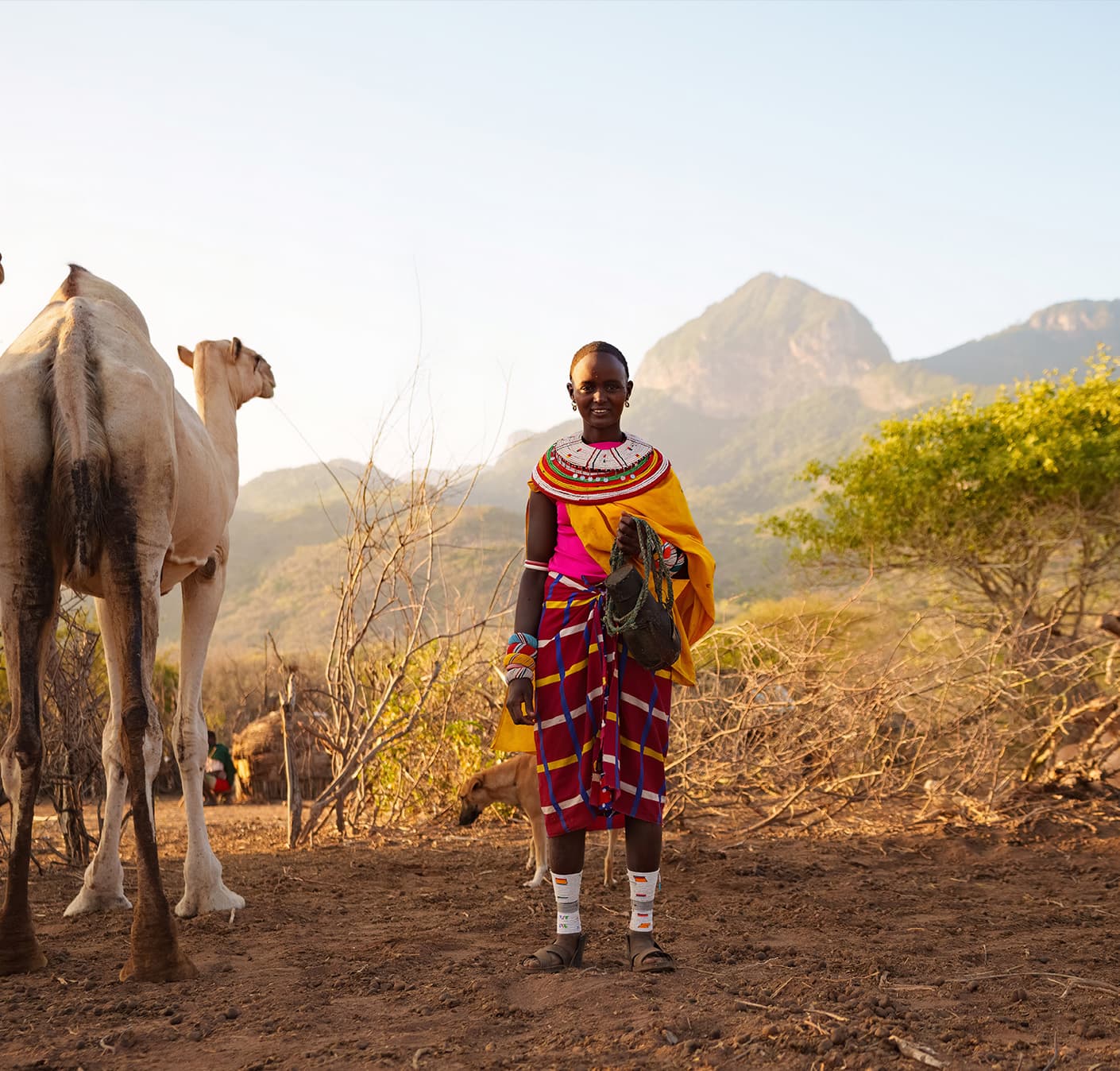 Women's Agricultural Project