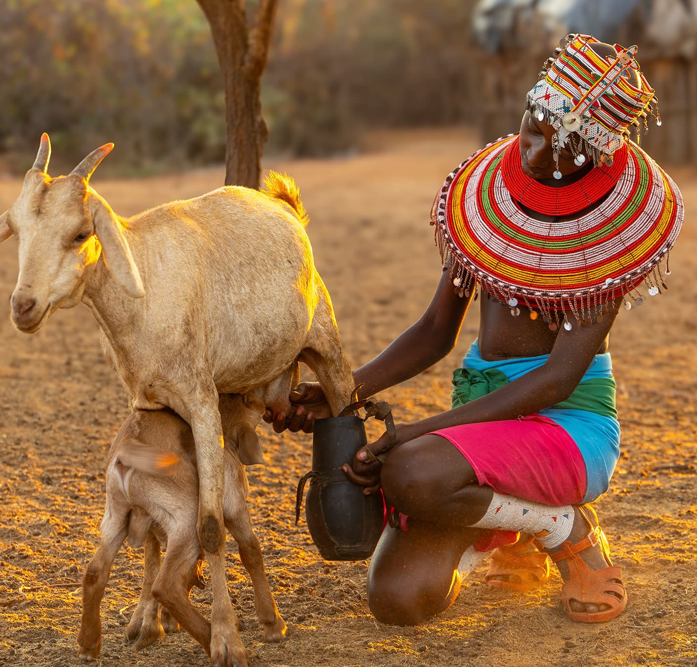 Samburu Homestead Visits